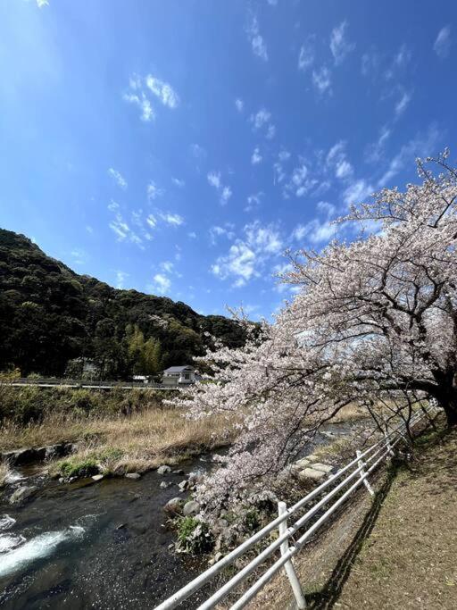 御浜岬の至福を一身に味わう 一軒家貸切宿で贅沢なバーベキューを楽しみながら夕陽に染まる戸田湾の美しさを満喫 Numazu Exterior photo