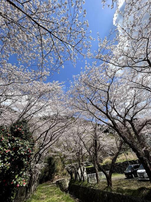 御浜岬の至福を一身に味わう 一軒家貸切宿で贅沢なバーベキューを楽しみながら夕陽に染まる戸田湾の美しさを満喫 Numazu Exterior photo